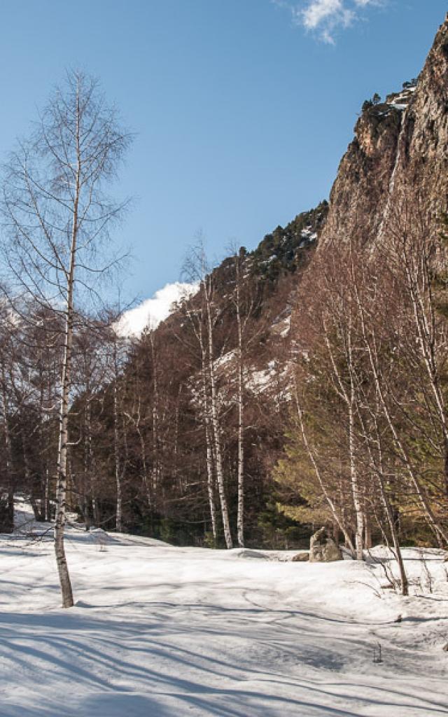 Un día en familia 4