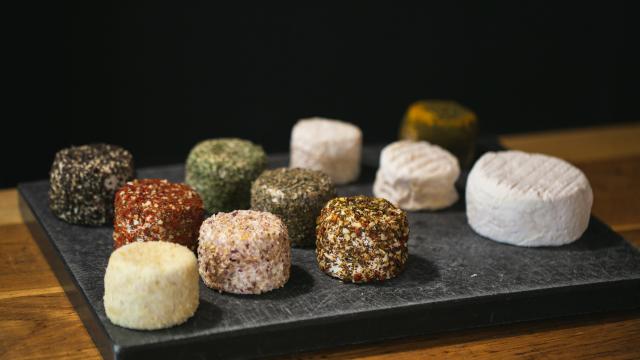 Greg Terra Foto Chevrerie De Gouaux 14