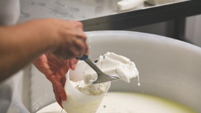 Greg Terra Foto Chevrerie De Gouaux 8