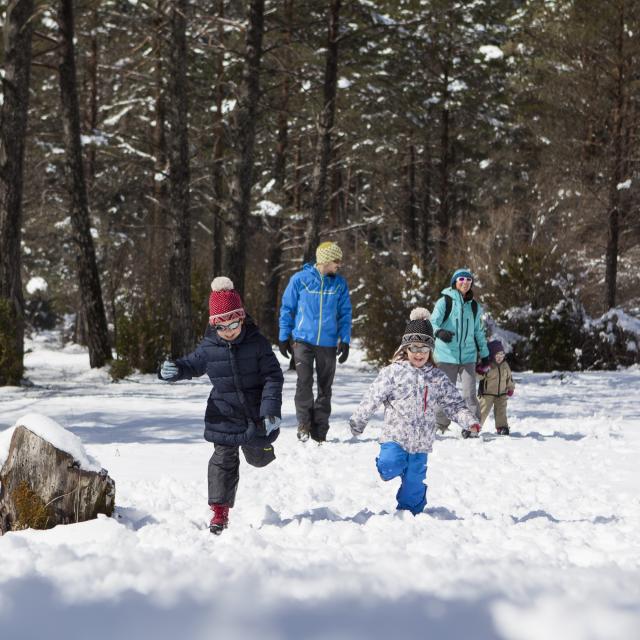 Osole 004saint Lary Vallée De La Pineta