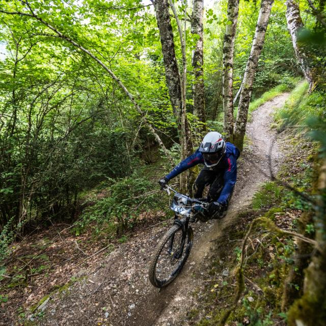 Mtb trails 65 shop
