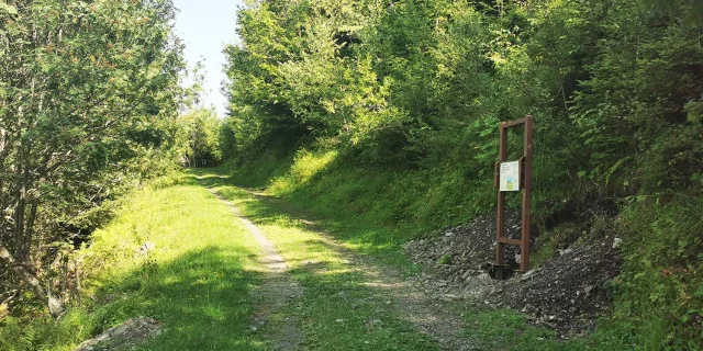 monsieur patou trail ©OTStLARY_totem_IMG001