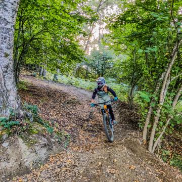 Vtt trails online