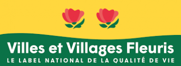 Logotipo de VVF 2 flores