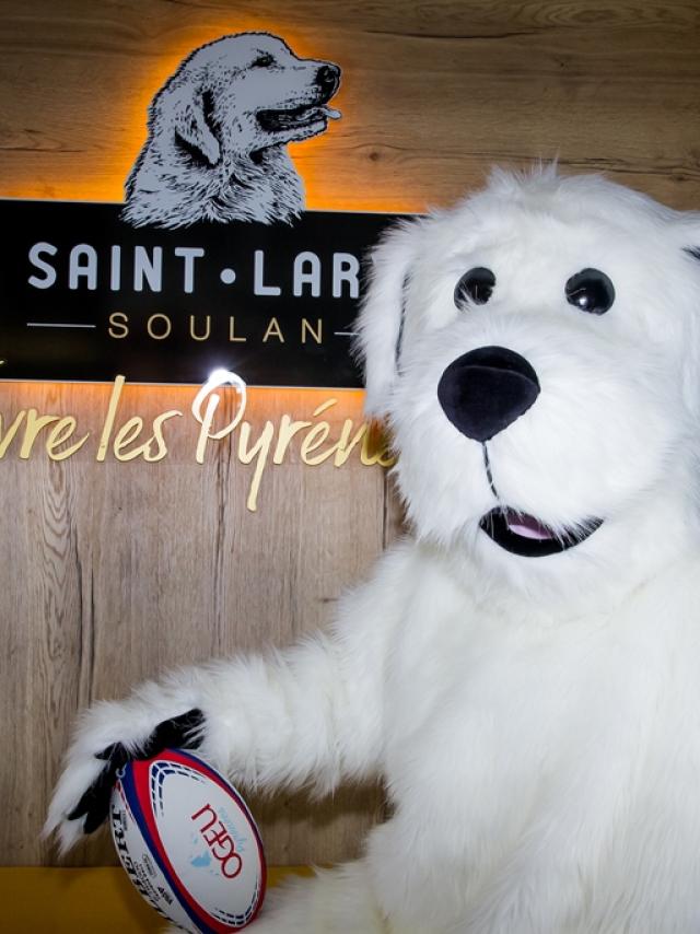 Img 0516 Patou In Tourist Office Jperisse Web