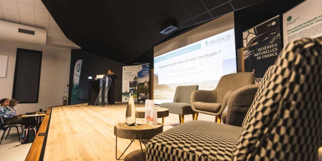 Nbirrien Cinema Lumiere 60